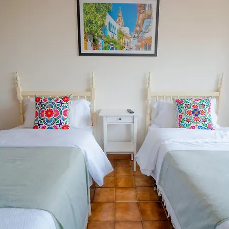 Oliva Desayuno Take Away 3000 Bed & Breakfast Santander