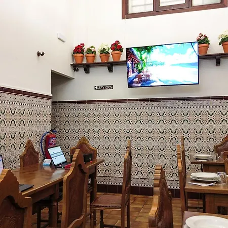 Oliva Desayuno Take Away 3000 3*